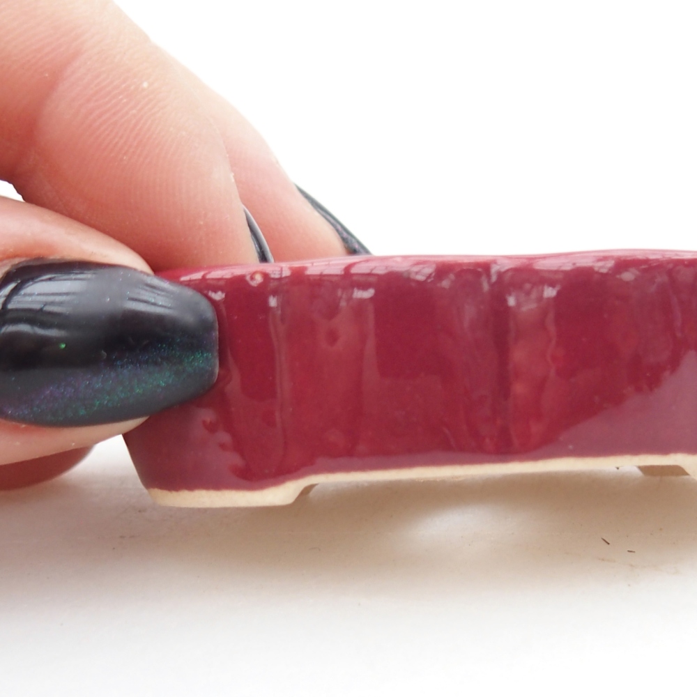 Ciotola mini bonsai 5,5 x 3,5 x 1,5 cm, bordeaux