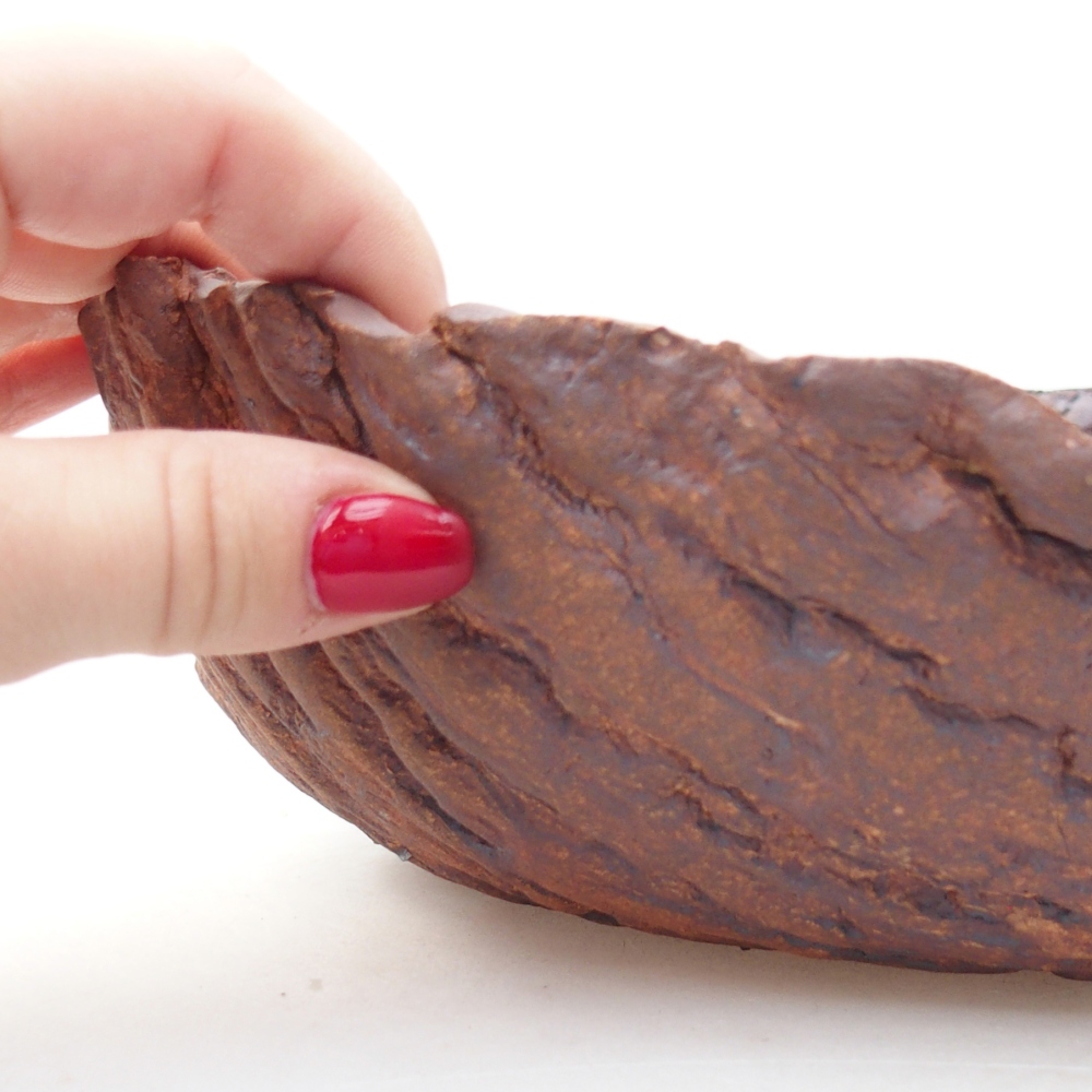 Conchiglia in ceramica 23 x 23 x 7 cm , colore marrone