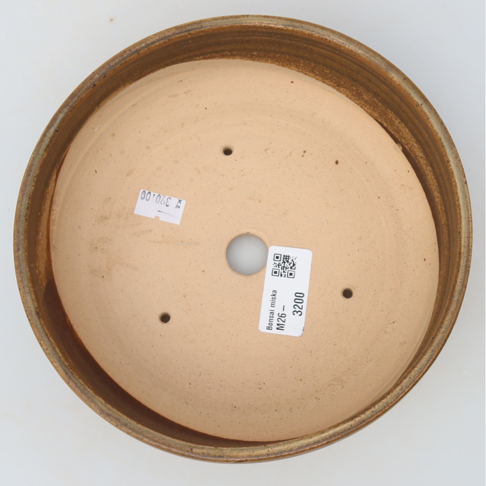Ciotola per bonsai in ceramica 18 x 18 x 6 cm, marrone