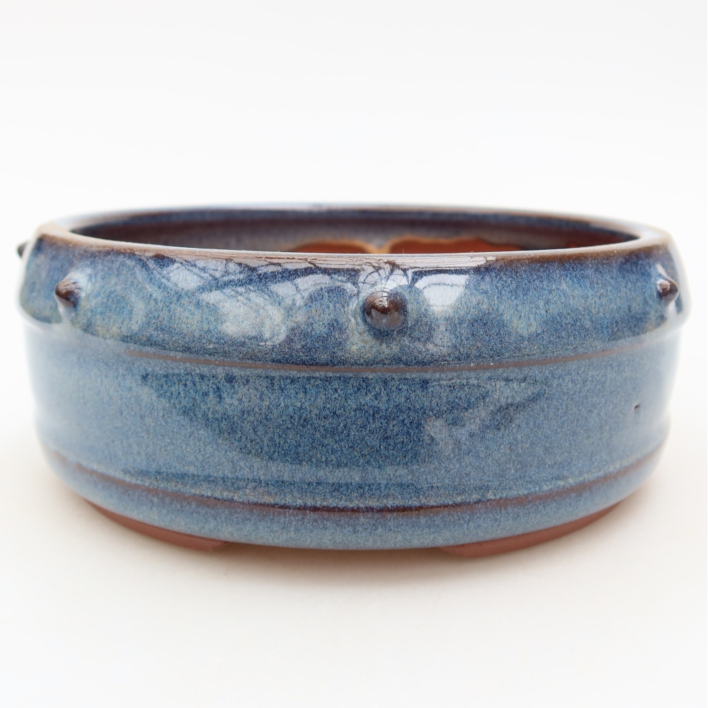 Ciotola per bonsai in ceramica 15,5 x 15,5 x 6,5 cm, colore blu