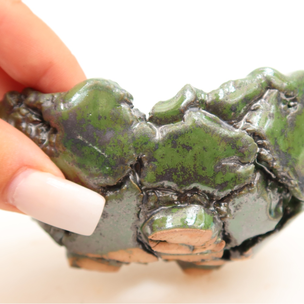 Guscio in ceramica  10 x 8,5 x 5 cm, colore verde