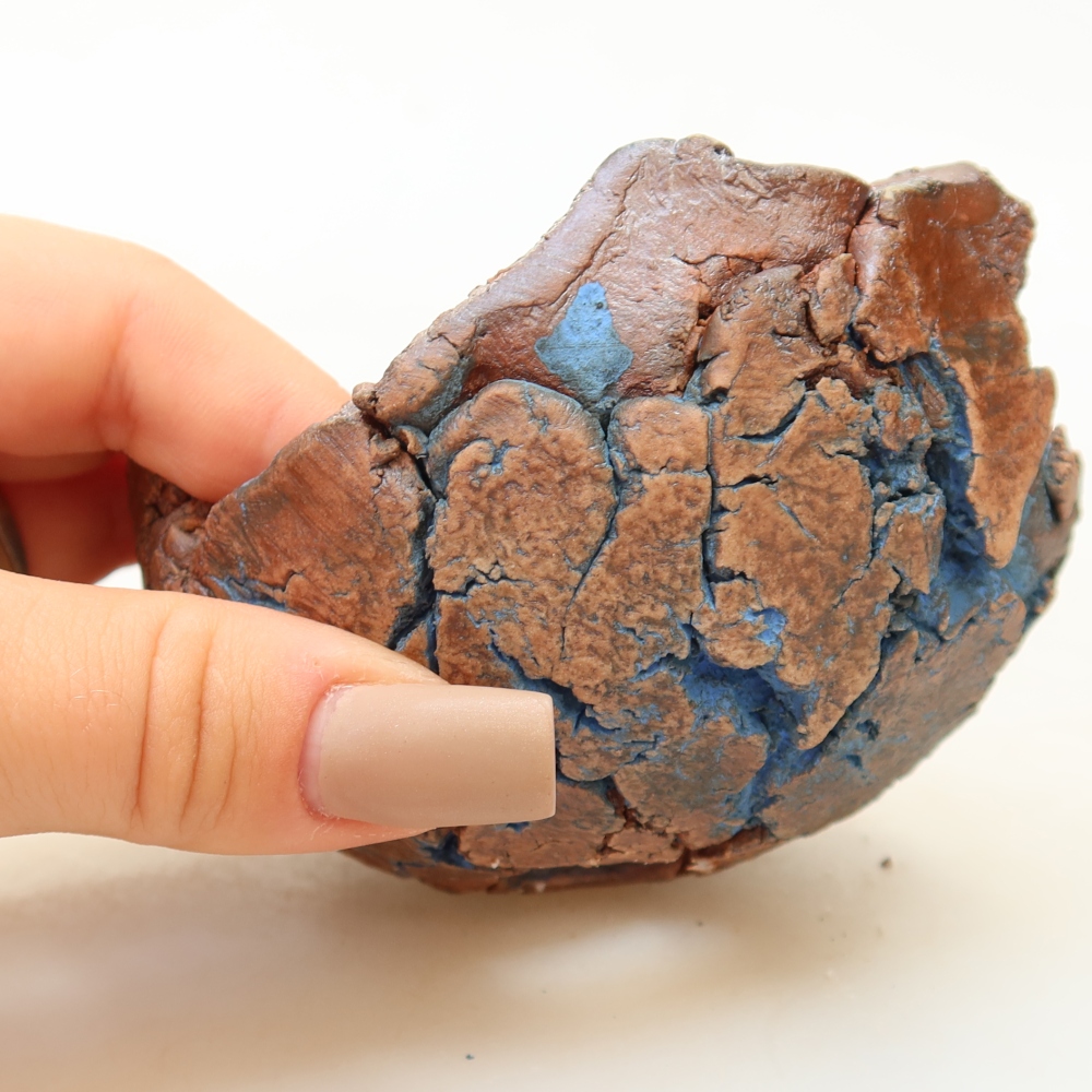 Conchiglia in ceramica 9 x 9 x 5,5 cm , colore blu