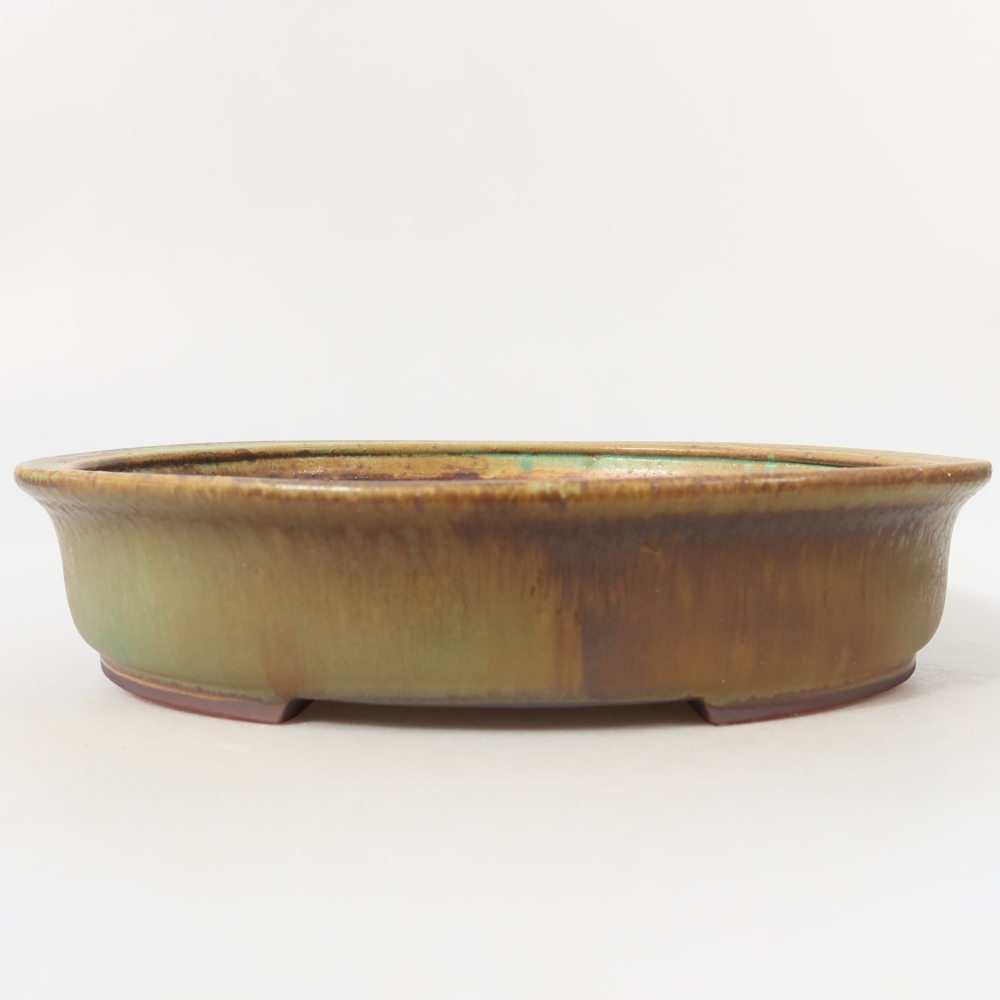 Ciotola per bonsai in ceramica 26,5 x 23,5 x 5,5 cm, verde