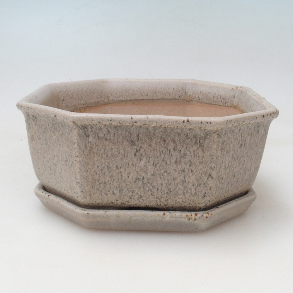 Ciotola bonsai + piattino H13 - 12,5x12,5 x4,5 cm - beige