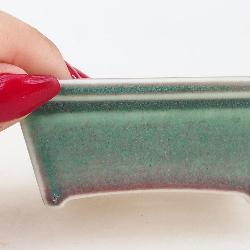 Mini bonsai 7,5 x 6 x 3 cm, verde