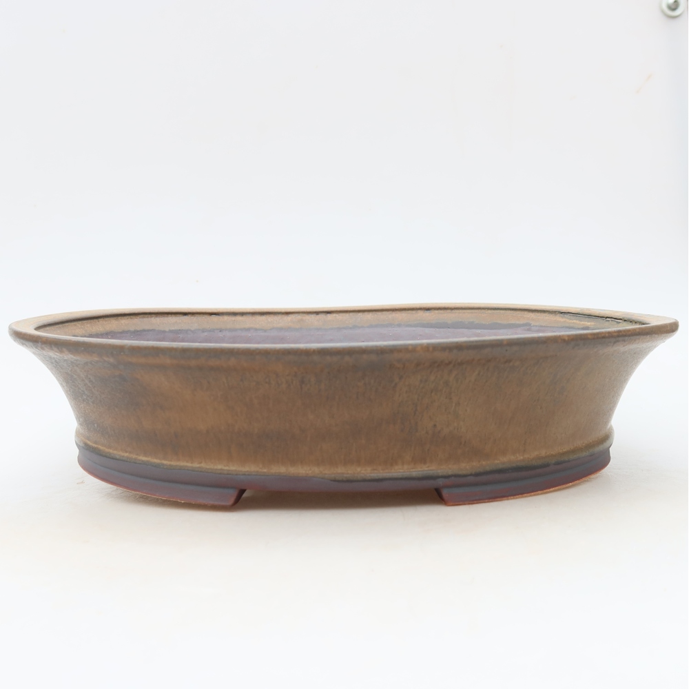 Vaso in ceramica per bonsai 27 x 24,5 x 6 cm, colore marrone