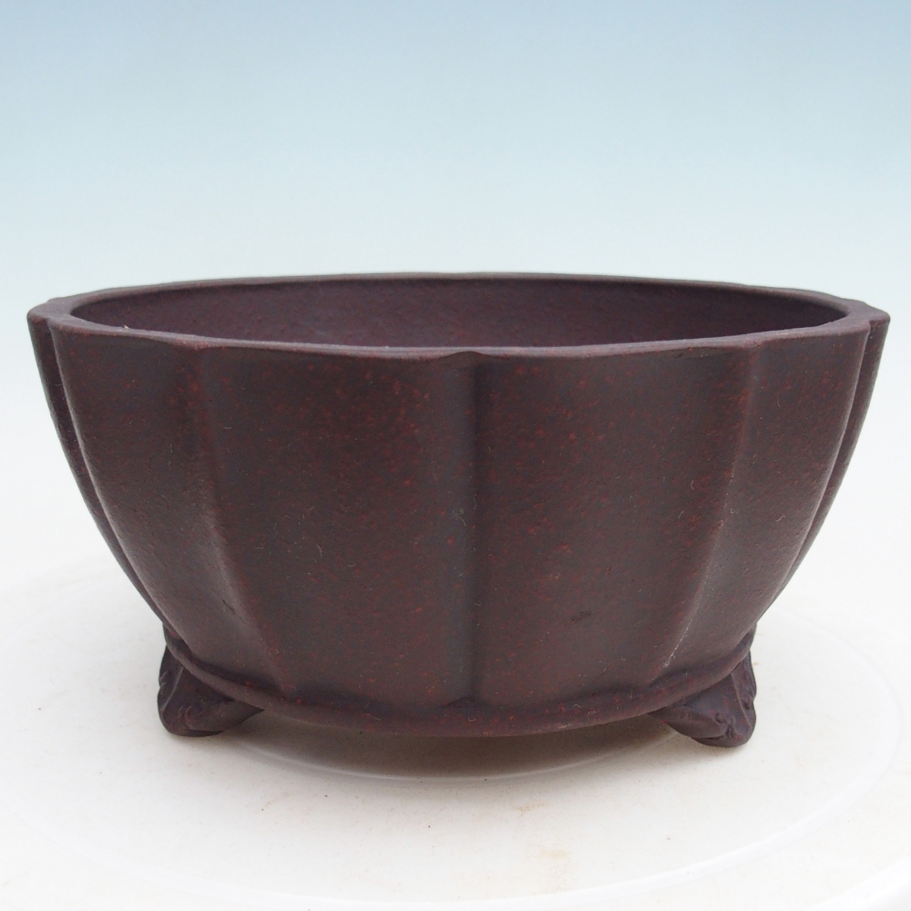 Ciotola bonsai in ceramica 19 x 19 x 9,5 cm, marrone
