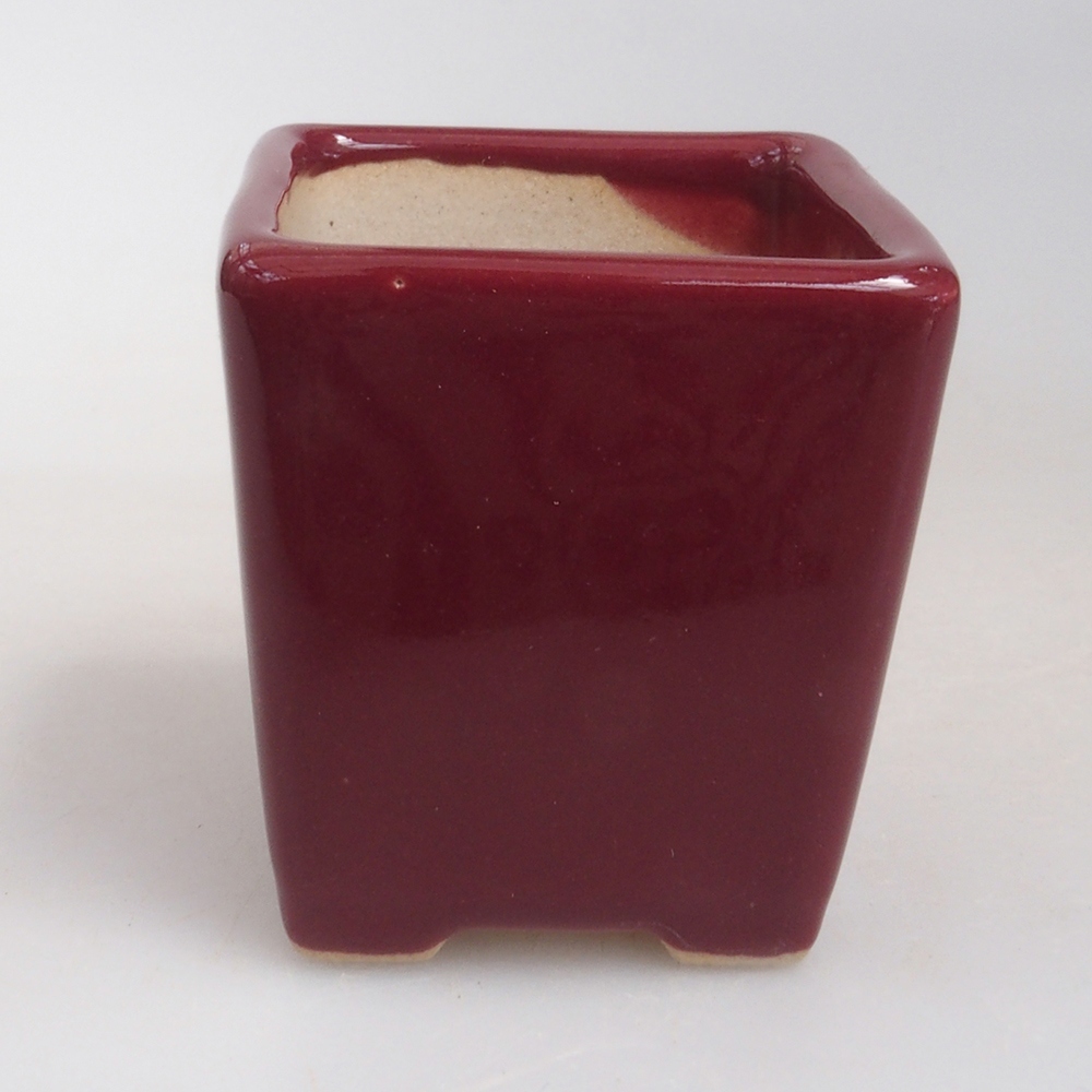 Mini bonsai 4,5 x 4,5 x 4,5 cm, bordeaux