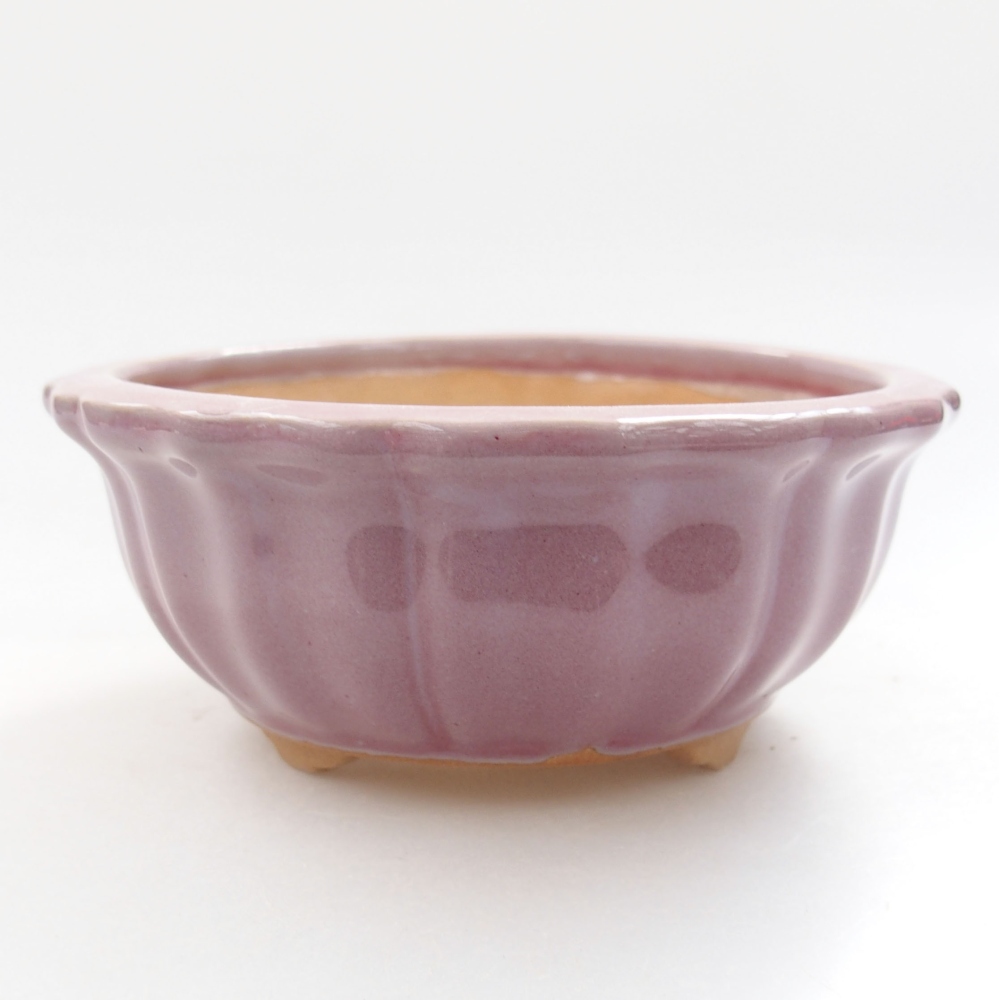 Ciotola bonsai in ceramica 22 x 17 x 5 cm, verde