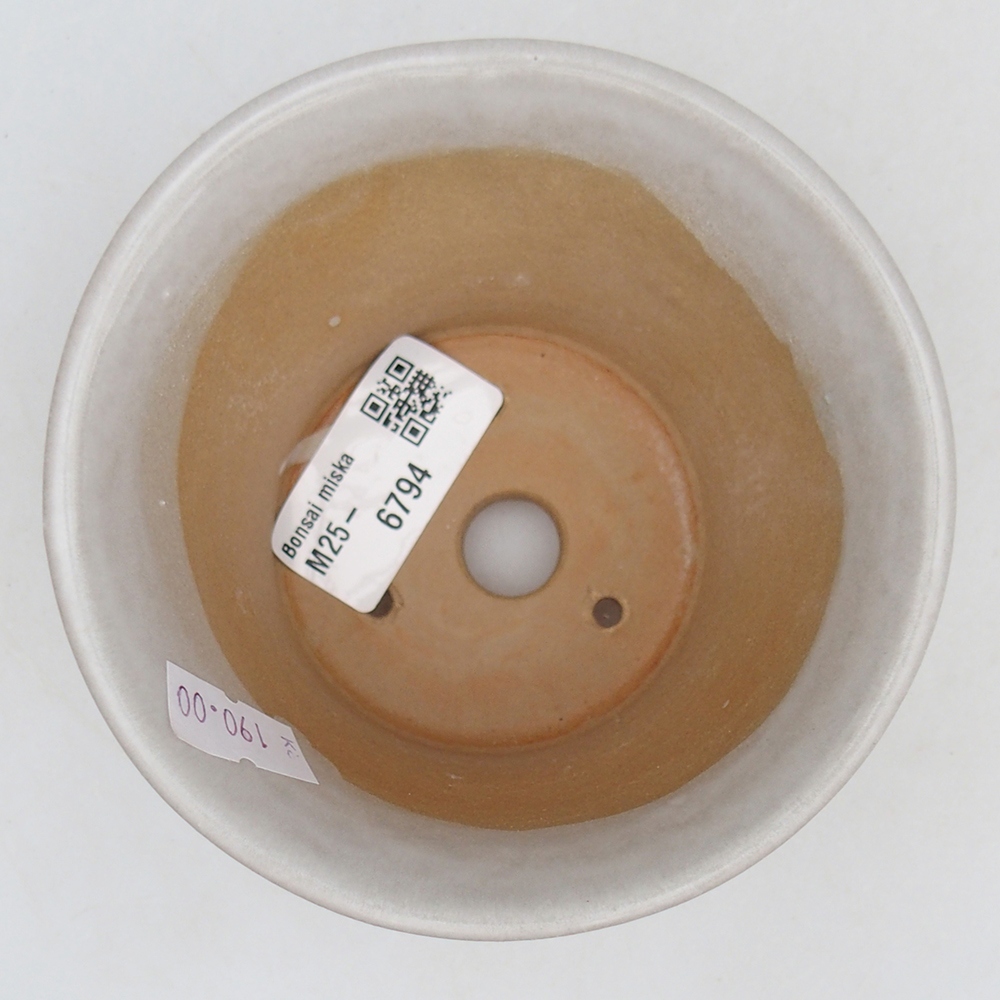 Ciotola bonsai in ceramica 11 x 11 x 7 cm, bianca