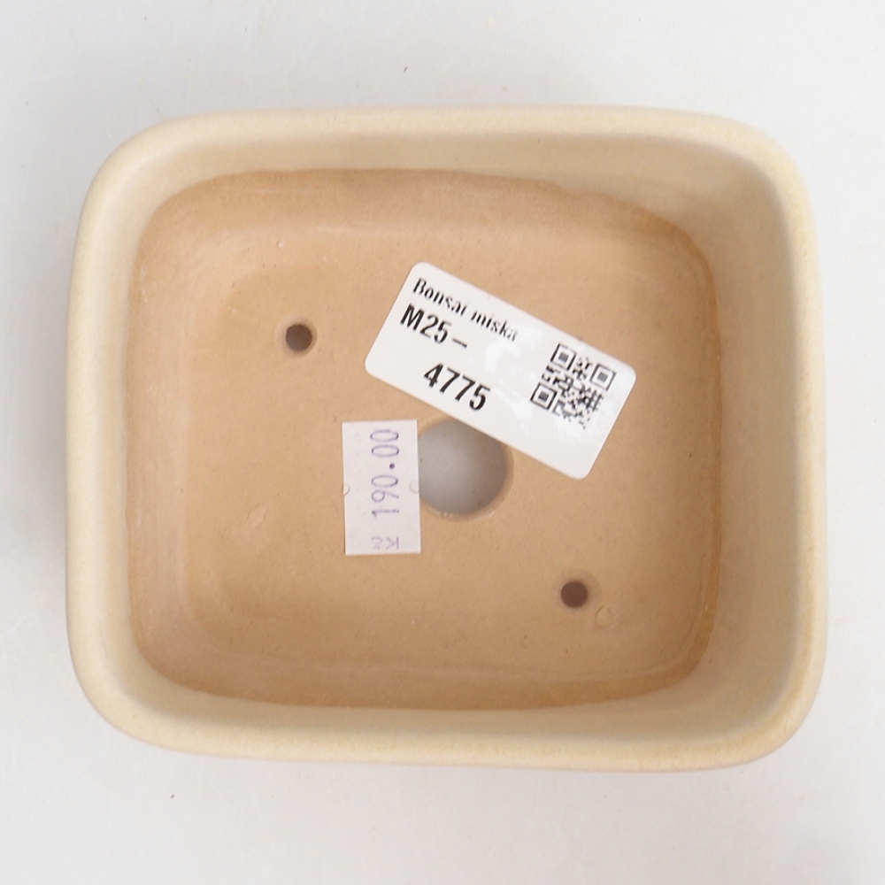 Ciotola per bonsai in ceramica 10,5 x 9 x 4,5 cm, colore beige