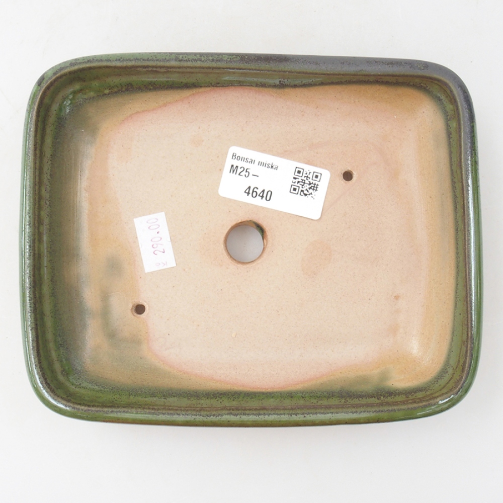 Ciotola bonsai in ceramica 17 x 13,5 x 3,5 cm, verde