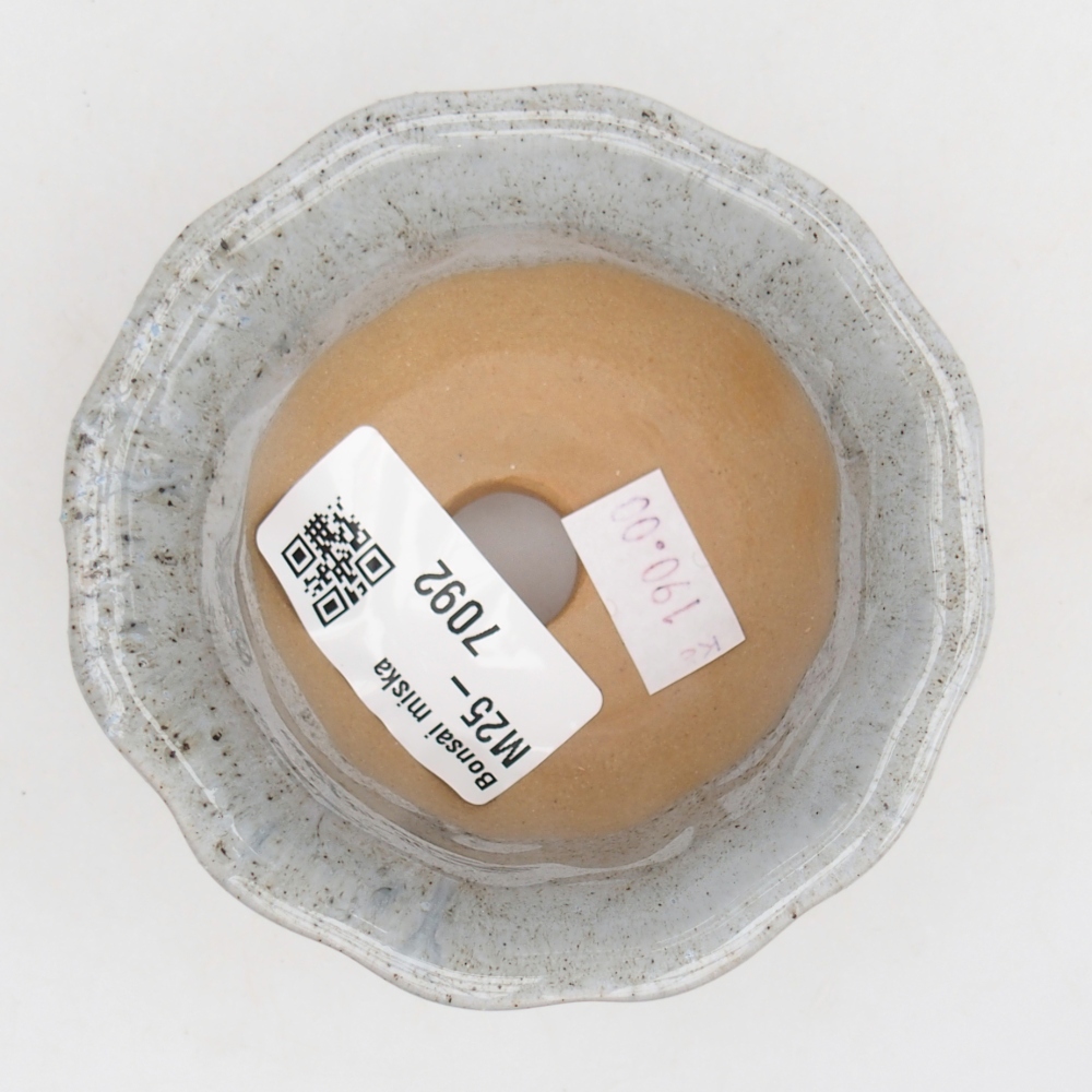 Ciotola bonsai in ceramica 26 x 26 x 8 cm, colore rosso