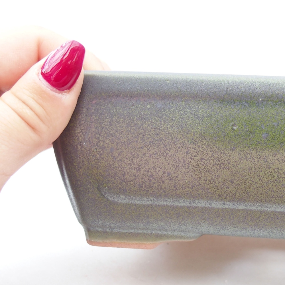 Ciotola per bonsai in ceramica 16 x 12 x 6 cm, verde