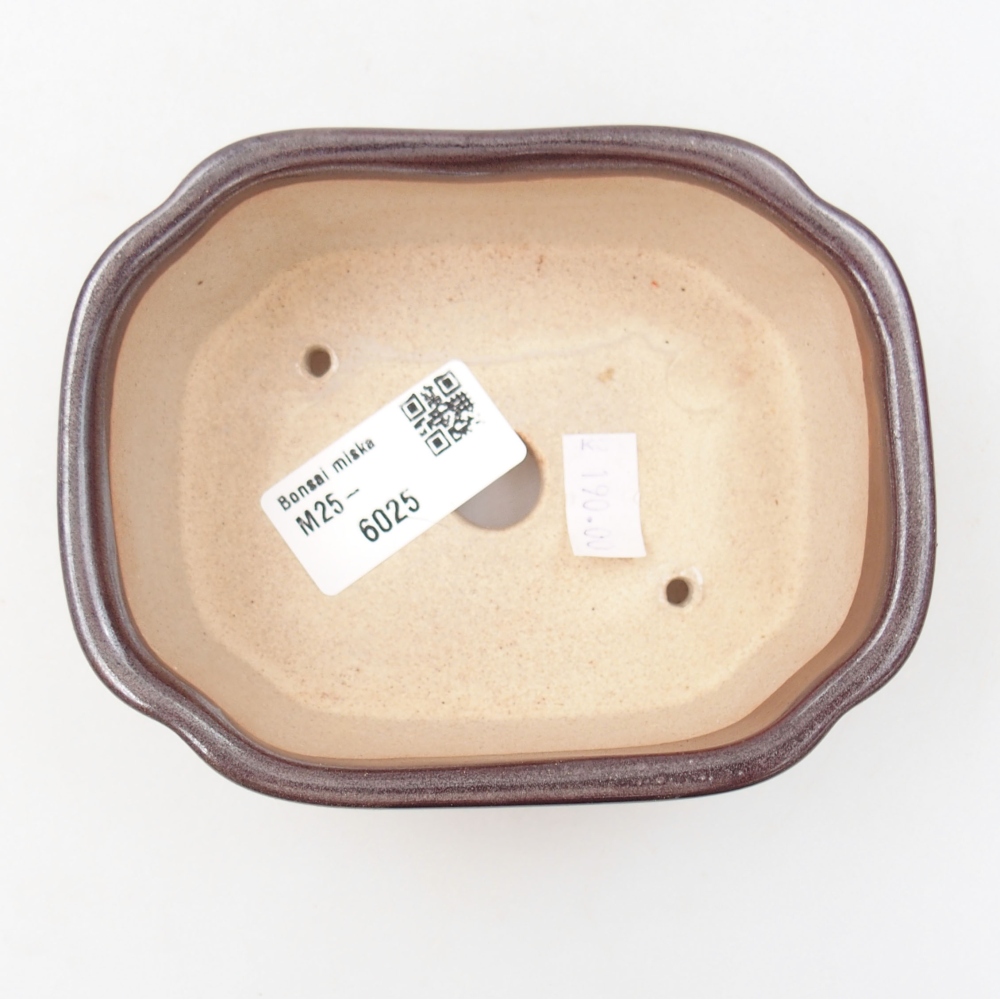 Ciotola bonsai in ceramica 22 x 17 x 5 cm, verde