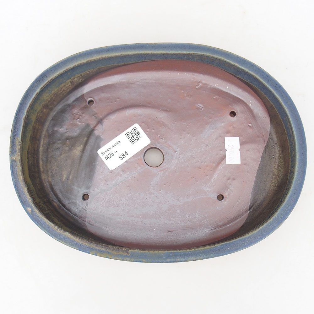 Ciotola bonsai in ceramica 22 x 17 x 4 cm, colore blu