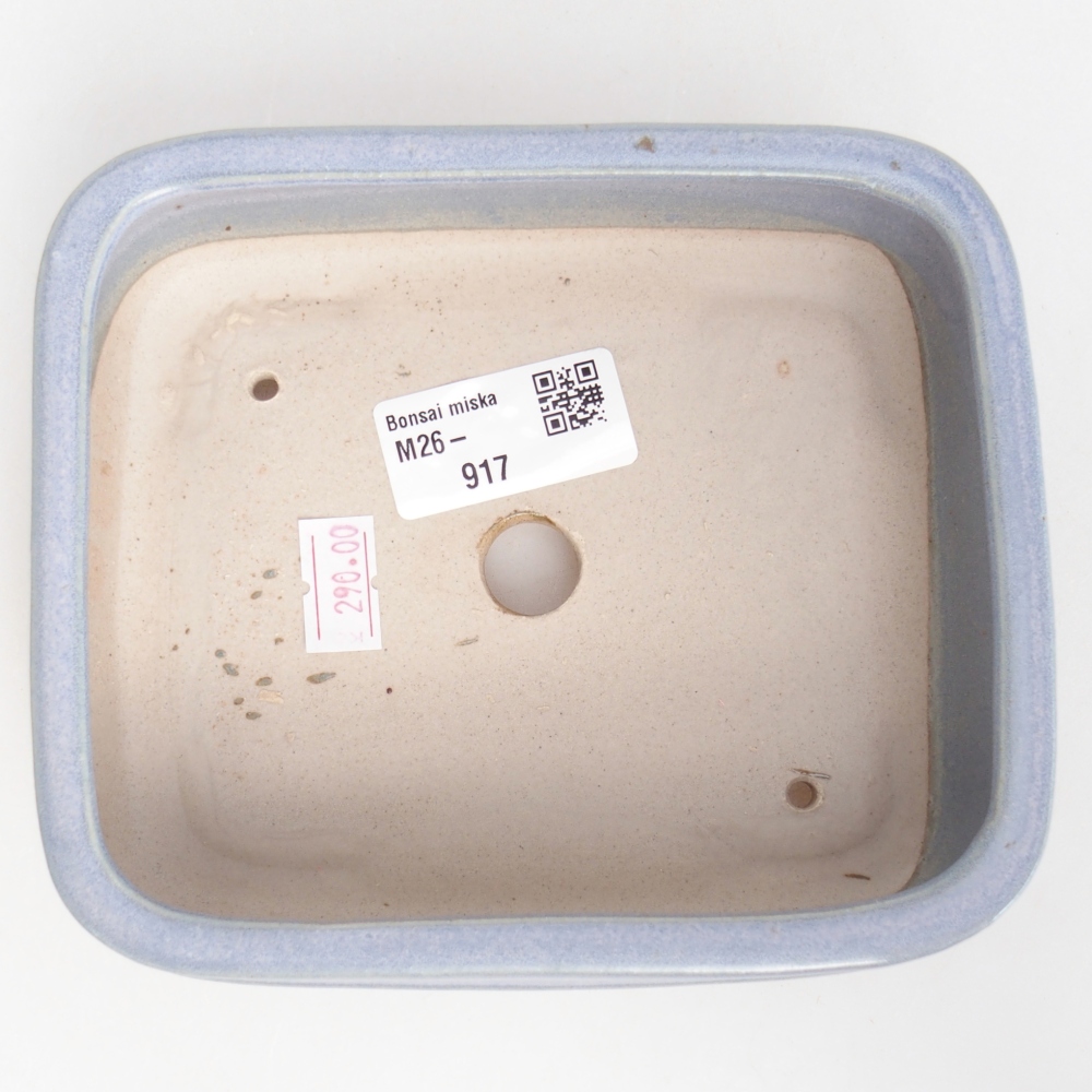 Ciotola bonsai in ceramica 14,5 x 12,5 x 4,5 cm, colore blu