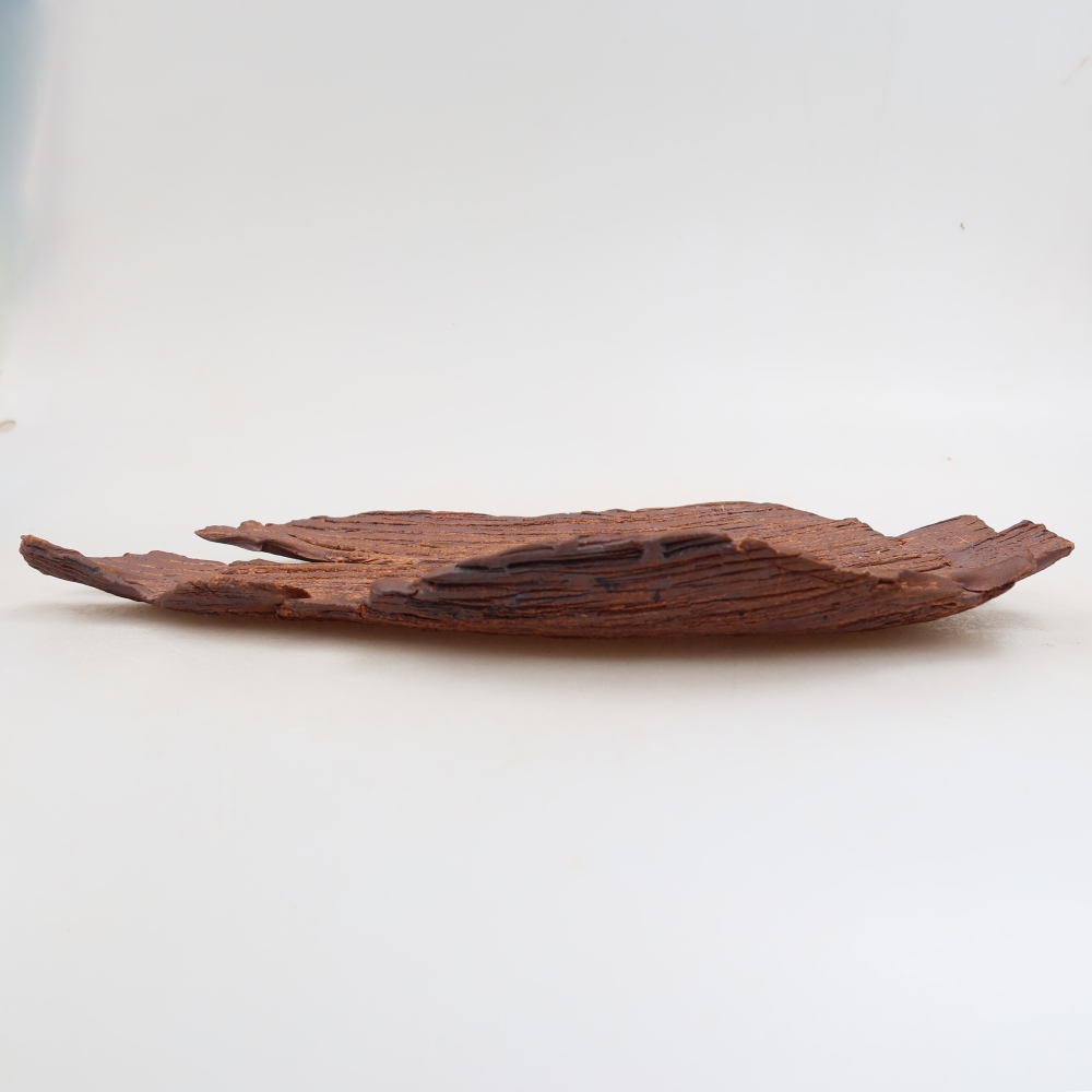 Guscio in ceramica  30,5 x 18 x 3,5 cm, colore marrone