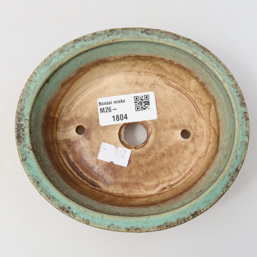 Ciotola per bonsai in ceramica 14,5 x 12,5 x 4 cm, verde