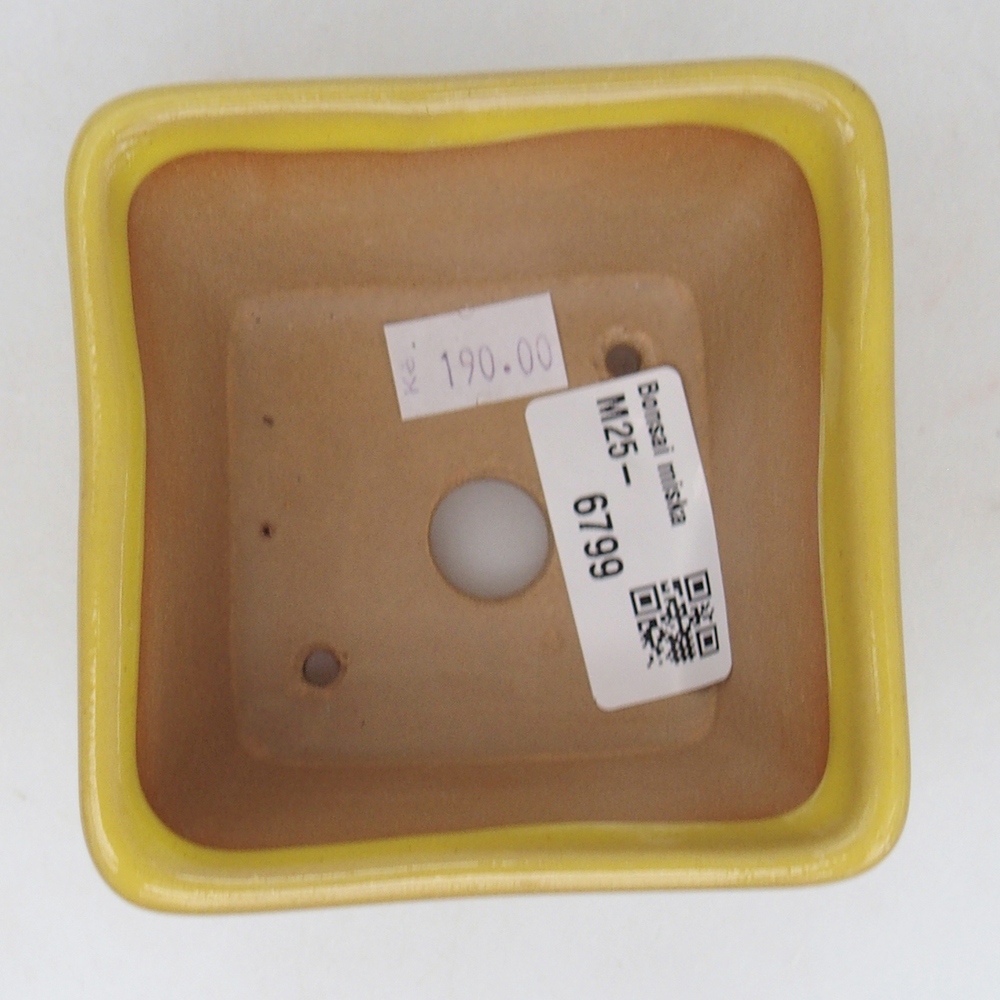 Ciotola bonsai in ceramica 8,5 x 8,5 x 6 cm, giallo