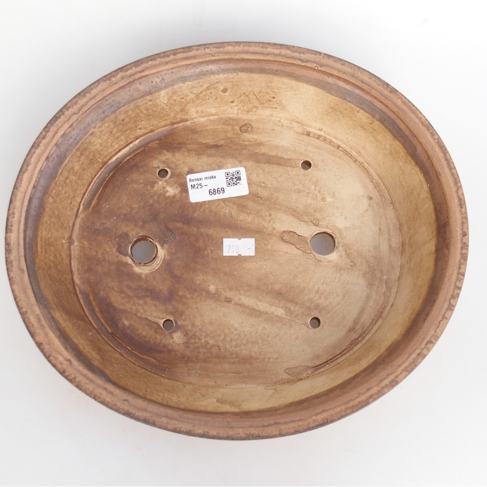 Ciotola bonsai in ceramica 28 x 25 x 6 cm, rosa