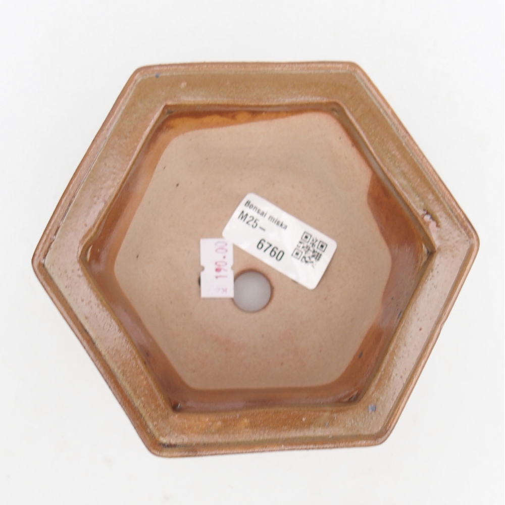 Ciotola per bonsai in ceramica 13 x 11,5 x 8 cm, marrone