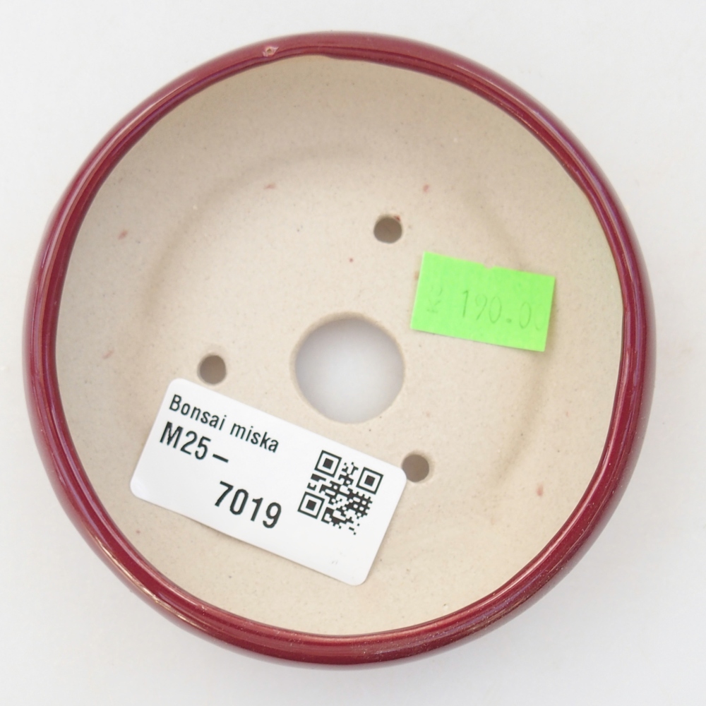 Ciotola bonsai in ceramica 26 x 26 x 8 cm, colore rosso