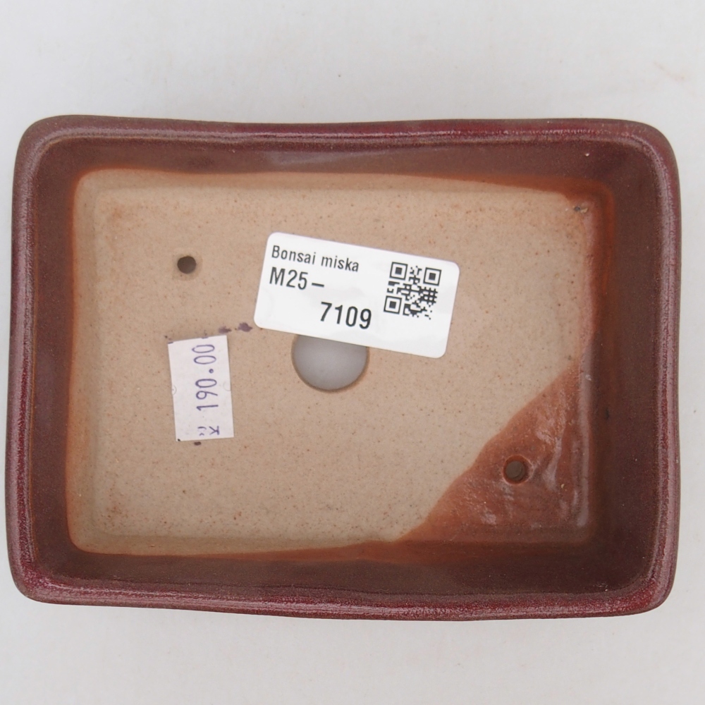 Ciotola bonsai in ceramica 26 x 26 x 8 cm, colore rosso