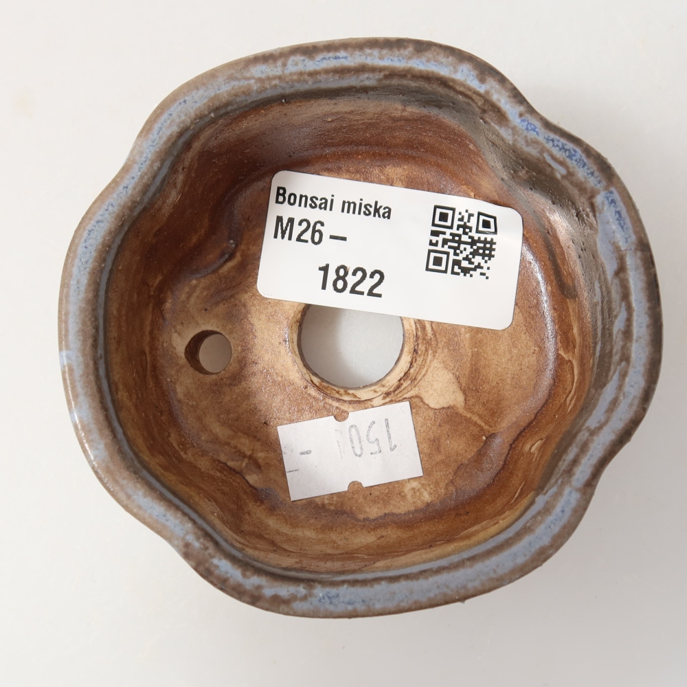 Vaso in ceramica per bonsai 8 x 7,5 x 3,5 cm, colore blu