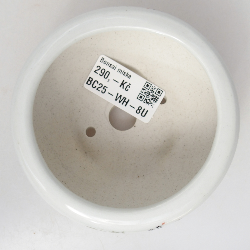 Ciotola per bonsai in ceramica 10 x 10 x 5 cm, colore bianco