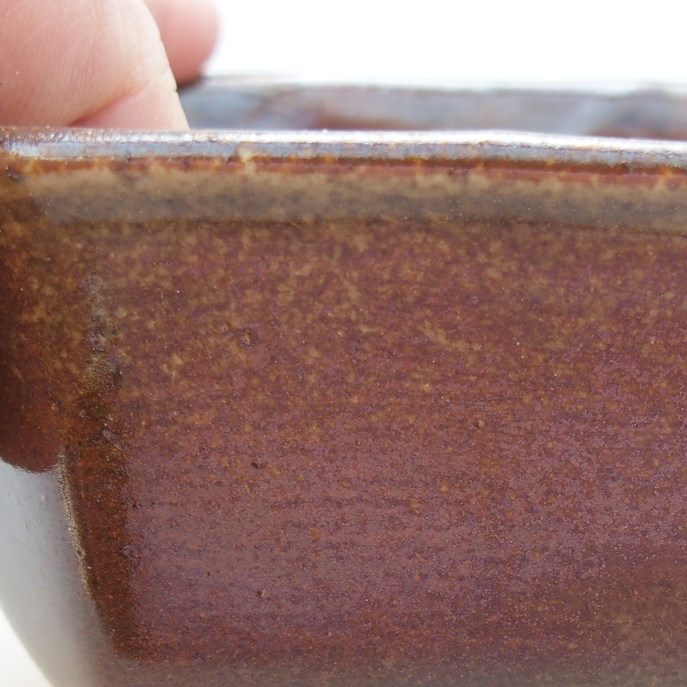 Ciotola per bonsai in ceramica 10 x 10 x 6 cm, marrone
