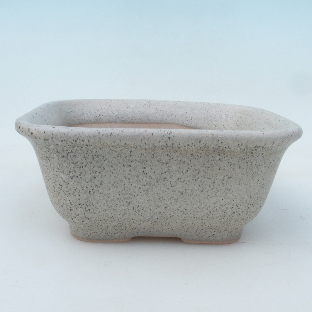 Ciotola bonsai + piattino H38 - 12x10x5,5 cm - beige