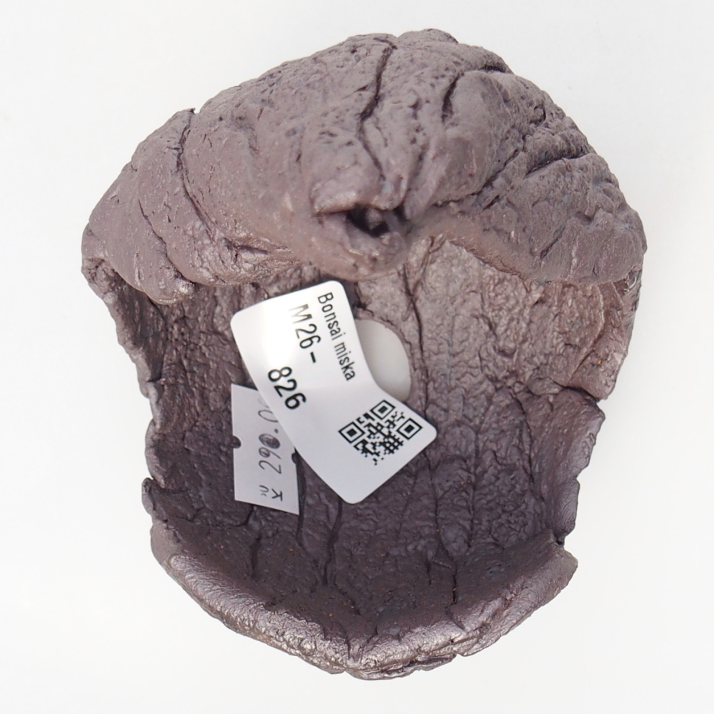 Conchiglia in ceramica 8 x 8 x 12,5 cm, colore metallizzato