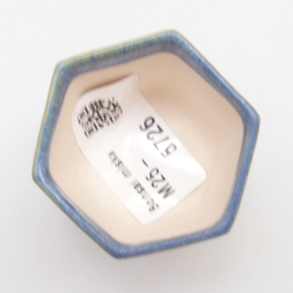 Mini bonsai 4,5 x 4 x 3,5 cm, colore blu