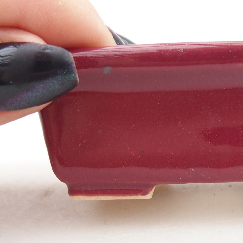 Mini bonsai 6,5 x 4 x 2,5 cm, bordeaux