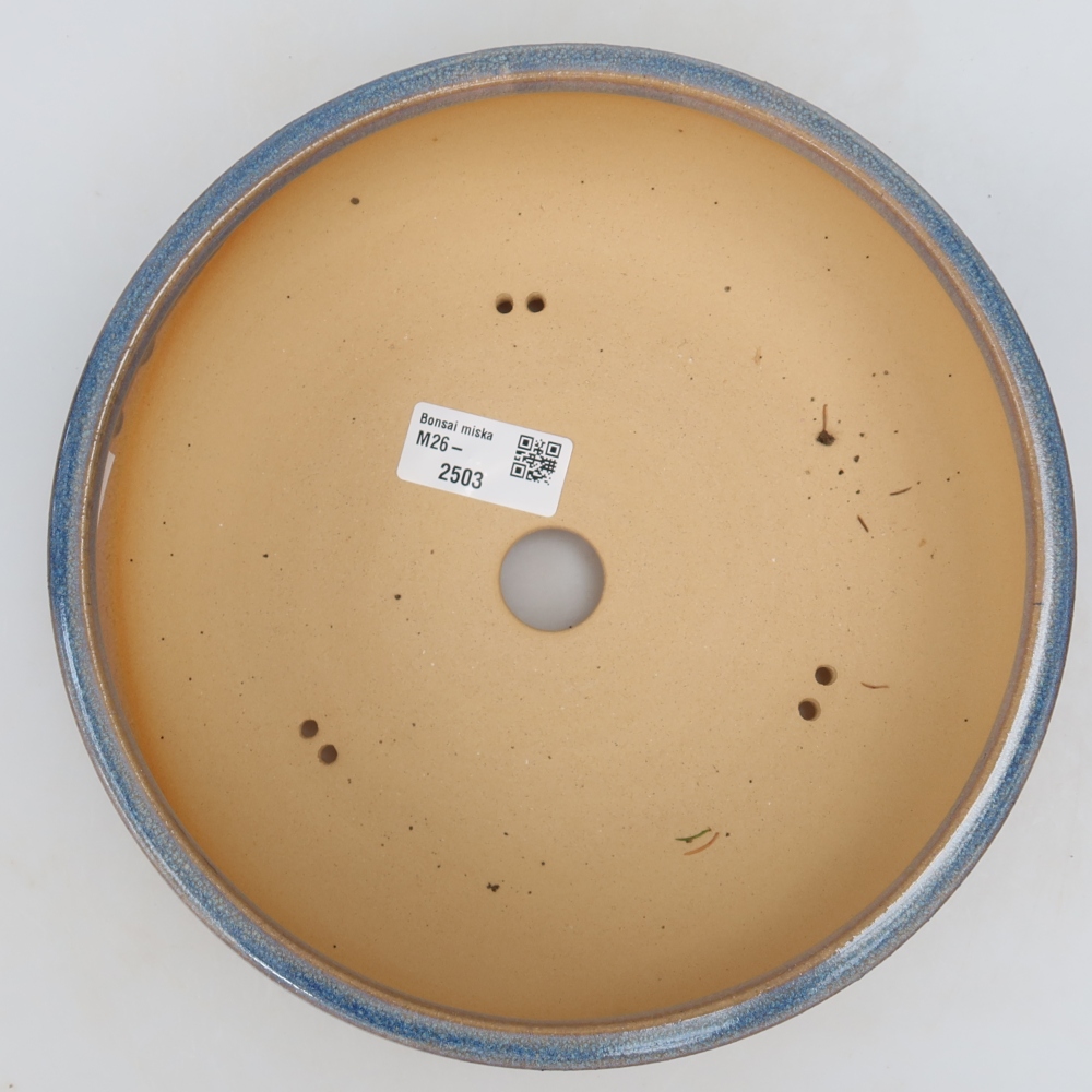 Vaso da bonsai in ceramica 21,5 x 21,5 x 7 cm, colore blu
