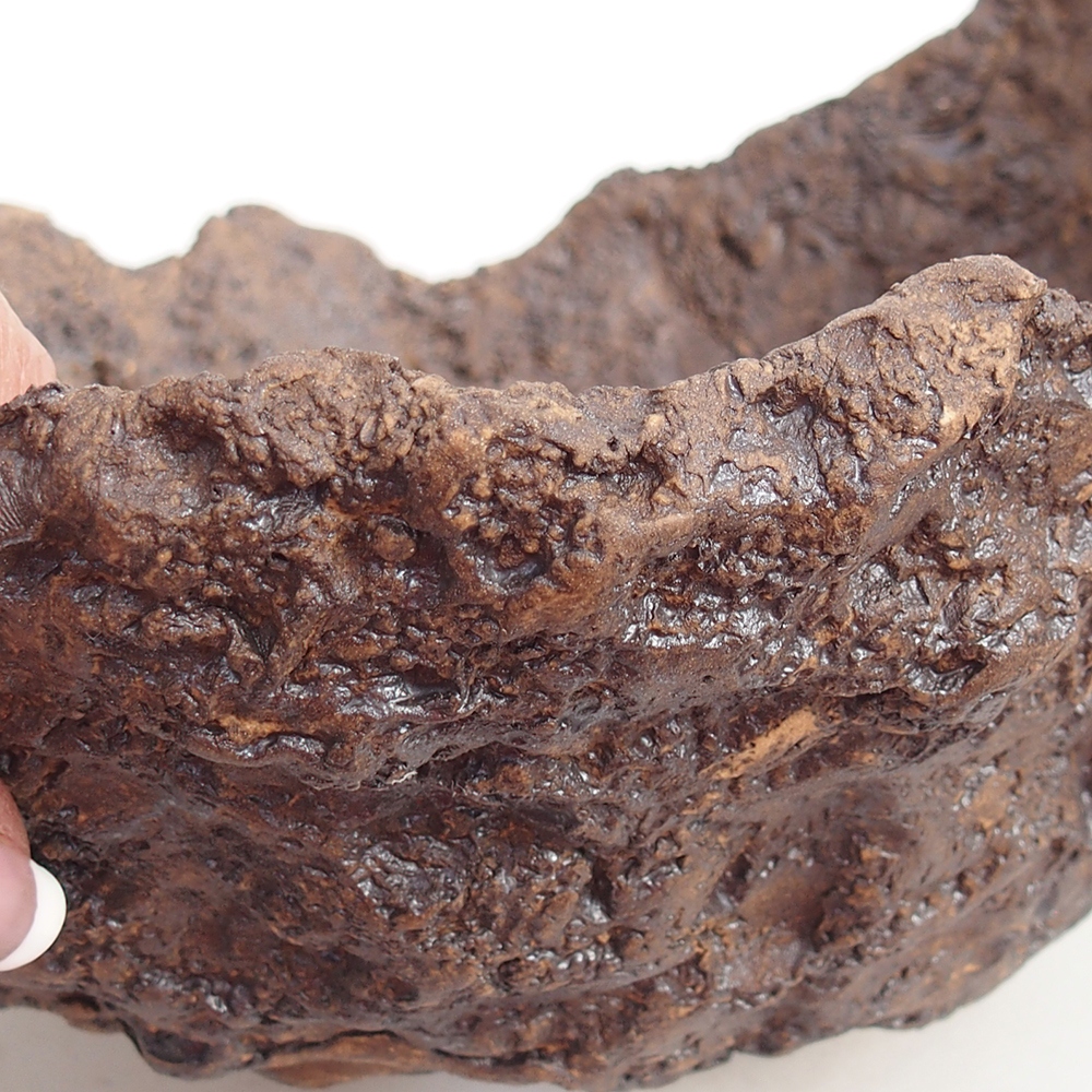 Conchiglia in ceramica 22 x 20 x 17,5 cm , colore marrone