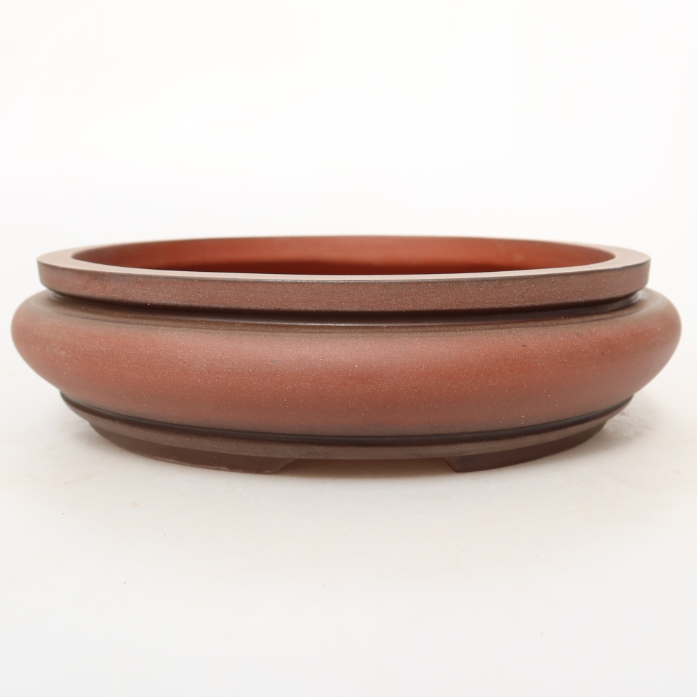 Conchiglia in ceramica  22,5 x 22,5 x 6 cm, colore mattone