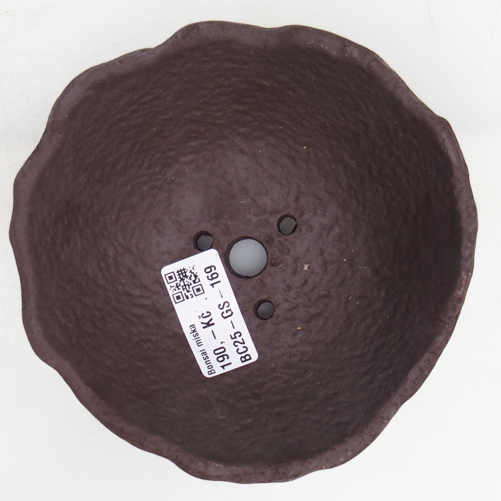 Conchiglia in ceramica 13 x 13 x 5,5 cm , colore marrone