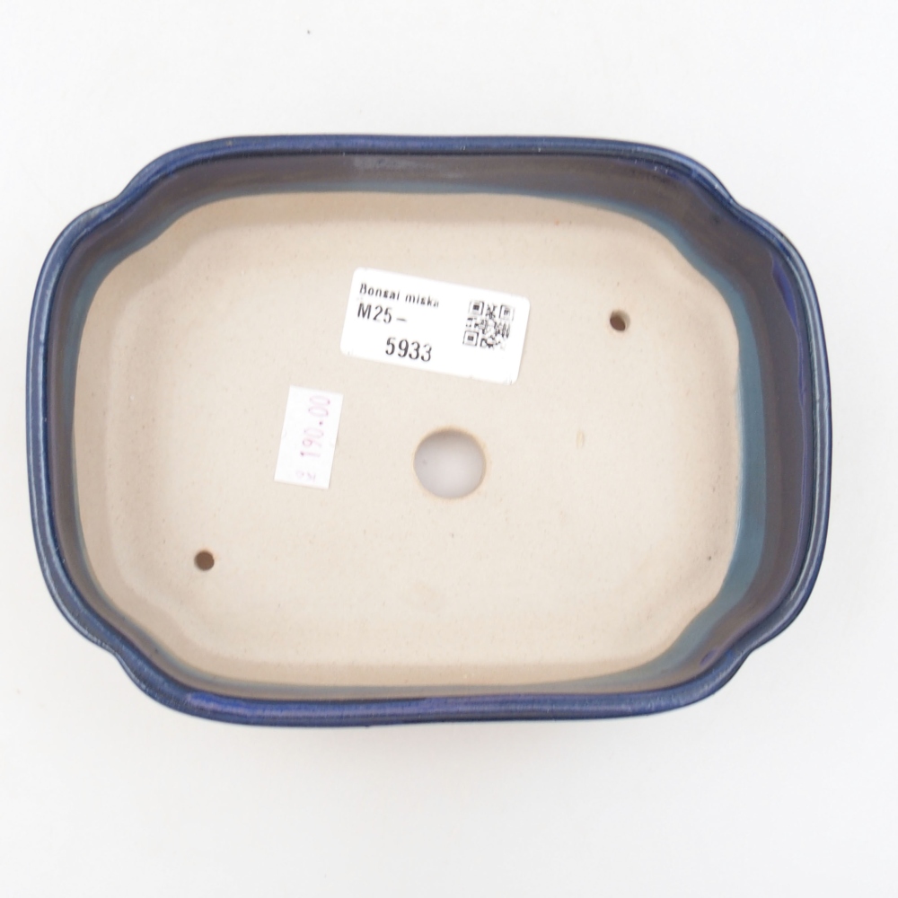 Ciotola bonsai in ceramica 22 x 17 x 5 cm, verde