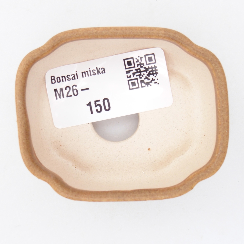 Ciotola per mini bonsai 6 x 5 x 3 cm, marrone