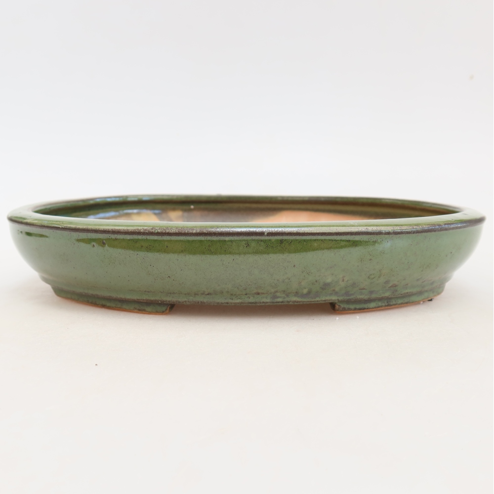 Ciotola per bonsai in ceramica 24,5 x 20 x 4 cm, verde
