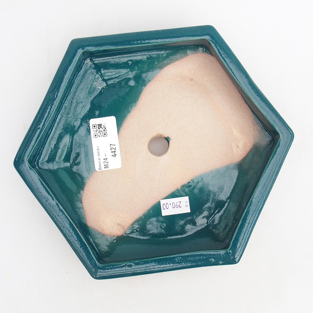 Ciotola per bonsai in ceramica 20 x 17,5 x 4 cm, verde