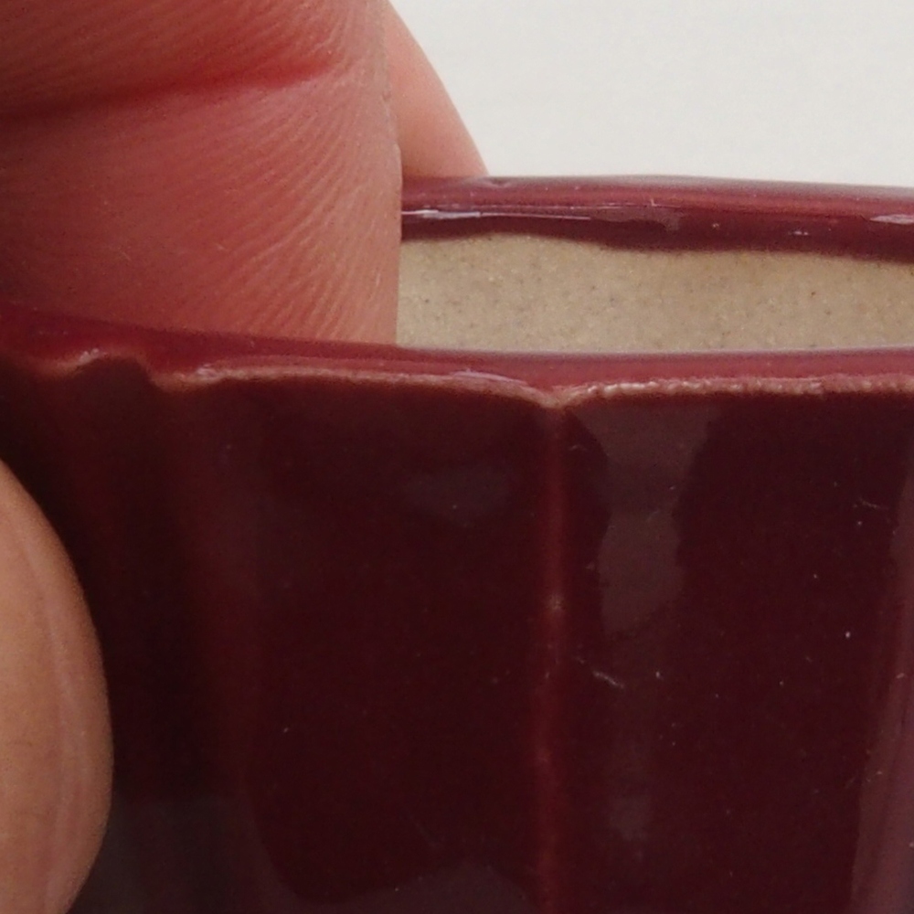 Ciotola per mini bonsai 5 x 5 x 3 cm, bordeaux