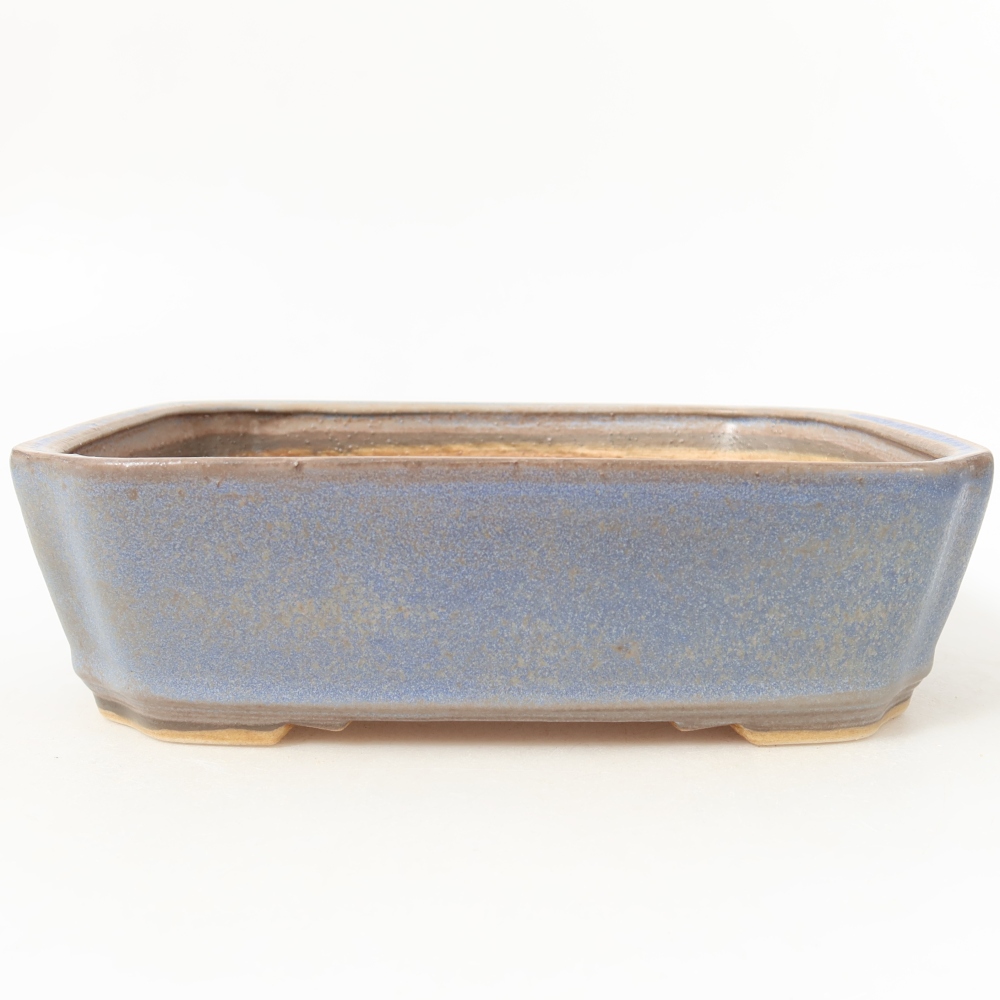 Vaso da bonsai in ceramica 21,5 x 18 x 6 cm, colore blu