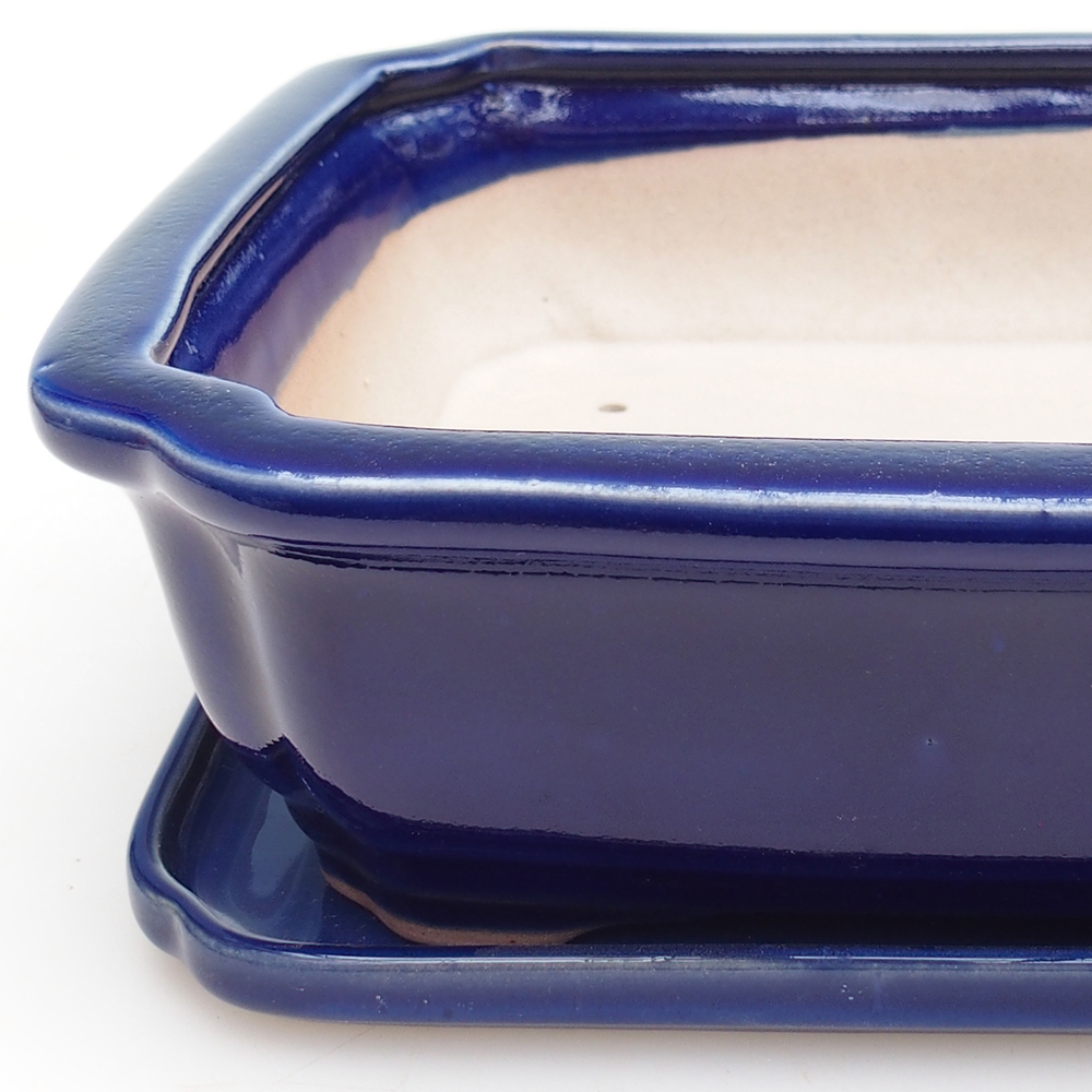 Ciotola bonsai + piattino H07 - 30 x 20,5 x 8 cm.