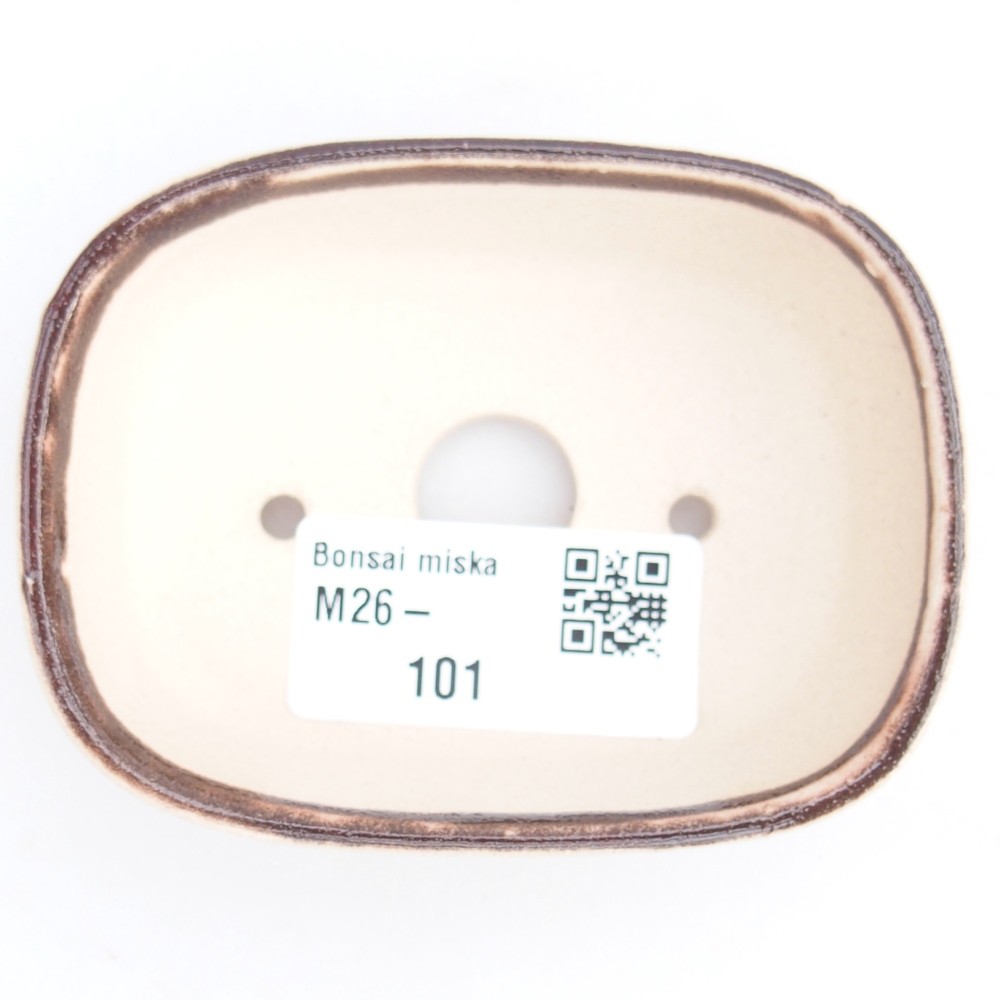 Mini bonsai 6 x 6 x 2,5 cm, colore rosso