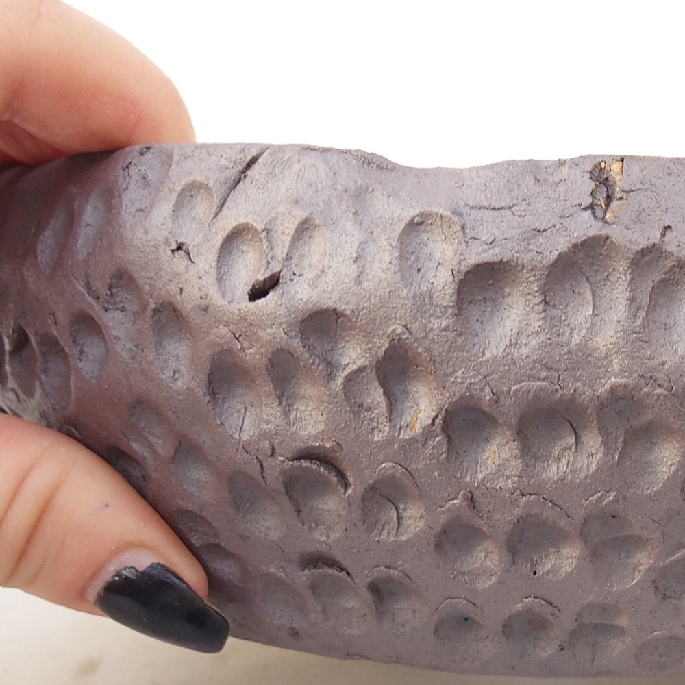 Ciotola bonsai in ceramica 17 x 17 x 6,5 cm, colore metallo