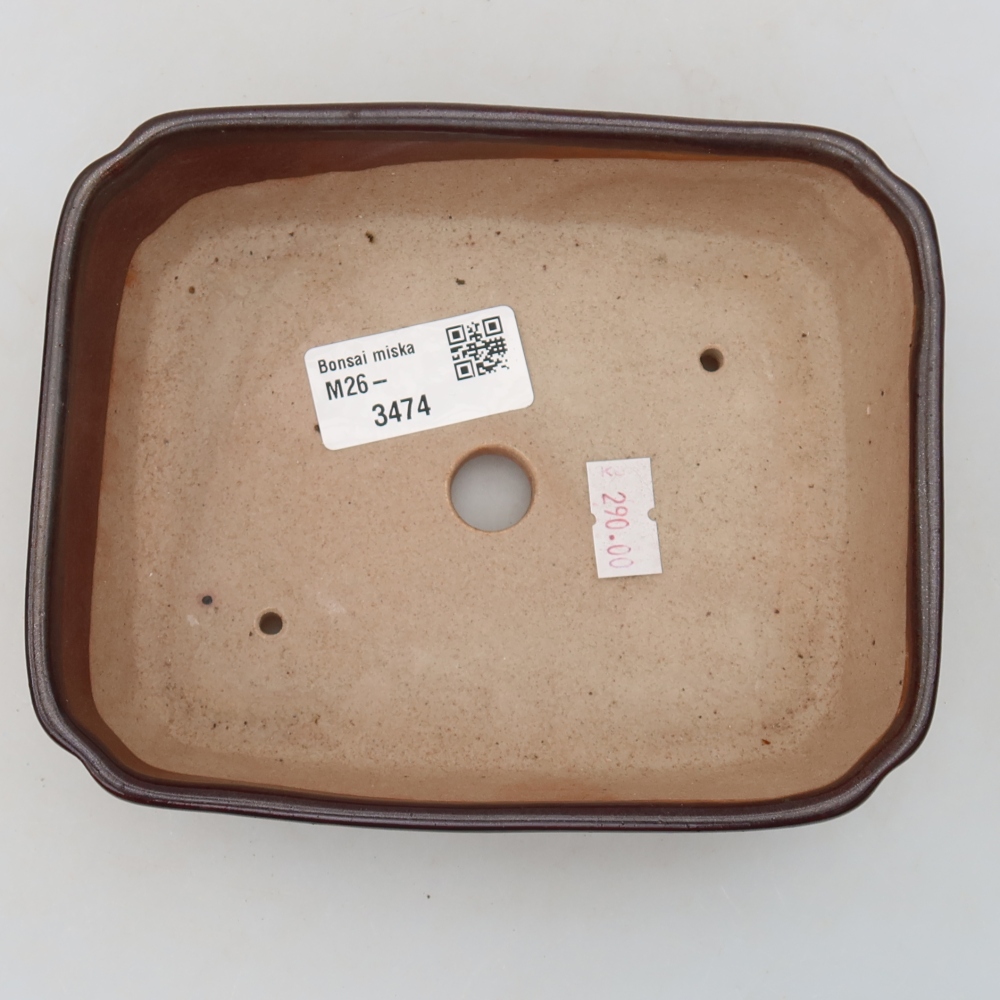 Ciotola per bonsai in ceramica 15 x 12,5 x 4,5 cm, marrone