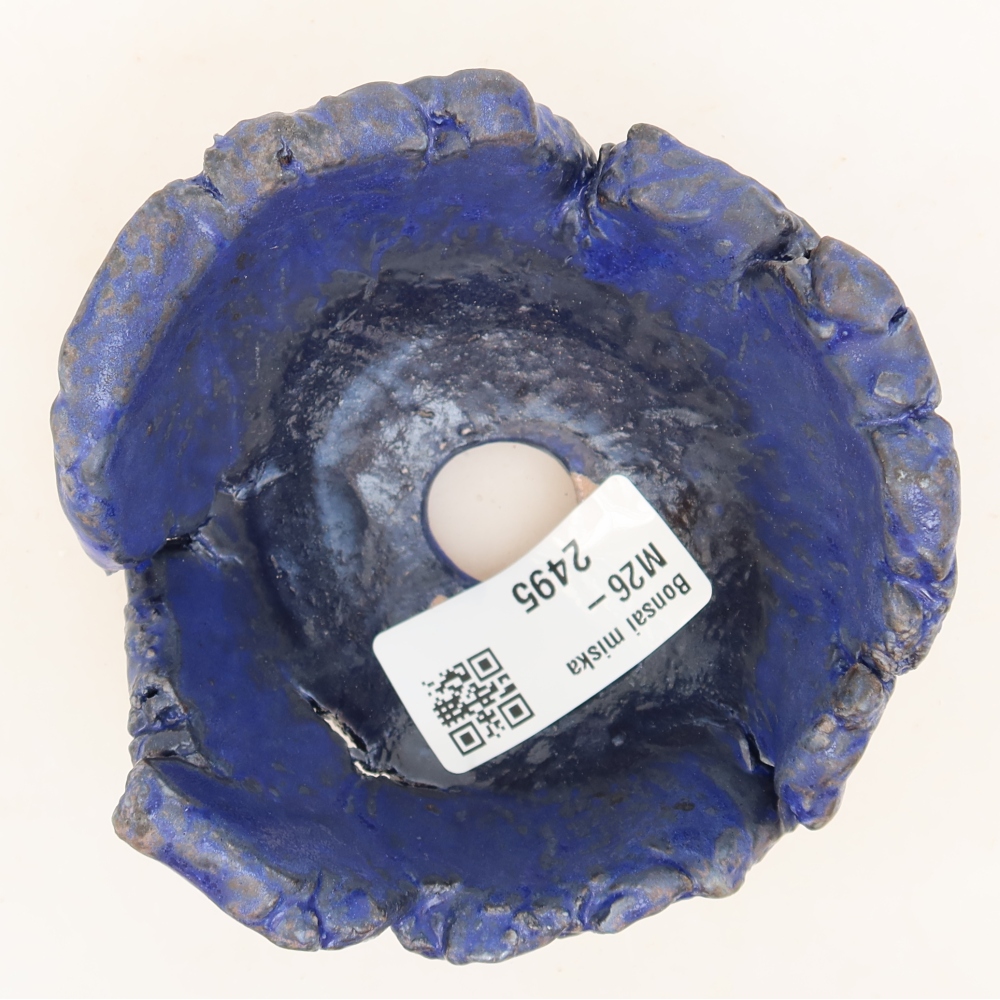 Guscio in ceramica  10 x 9,5 x 5,5 cm, colore blu